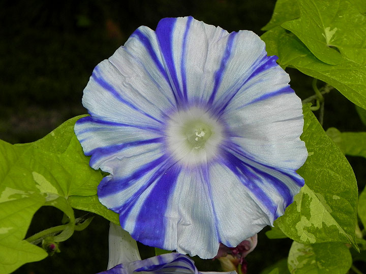 DSCN1008