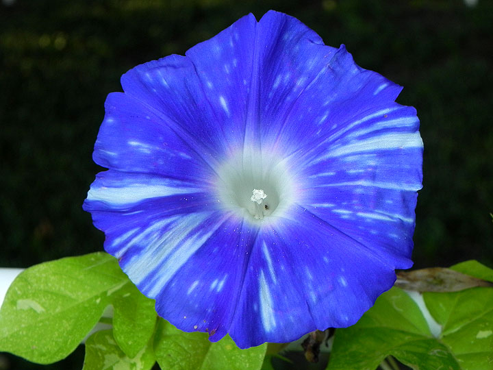 DSCN1043