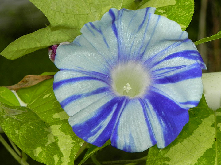 DSCN1044