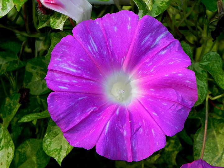 DSCN1053