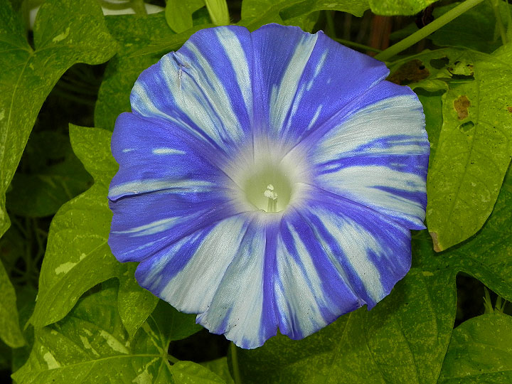 DSCN1104