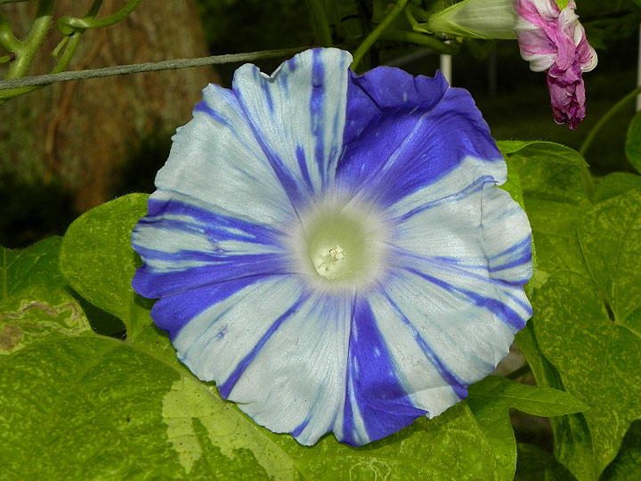 DSCN1105