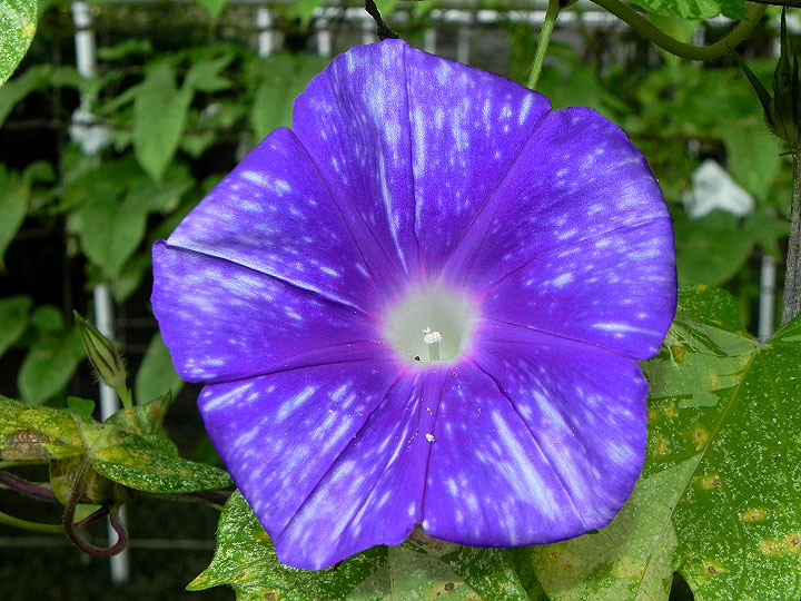 DSCN1109