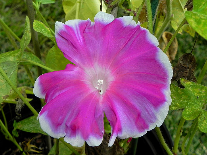DSCN1112