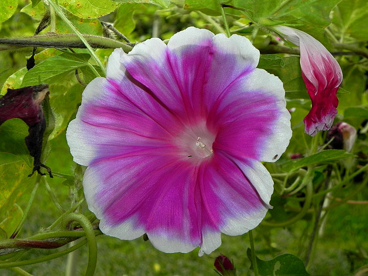 DSCN1113