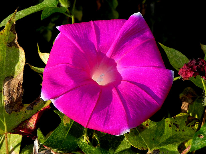 DSCN1147