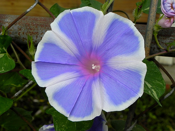 DSCN1257