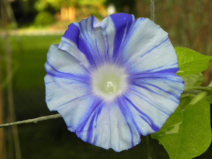 DSCN1259