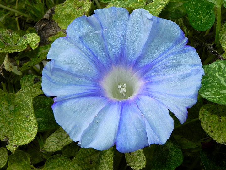 DSCN1296