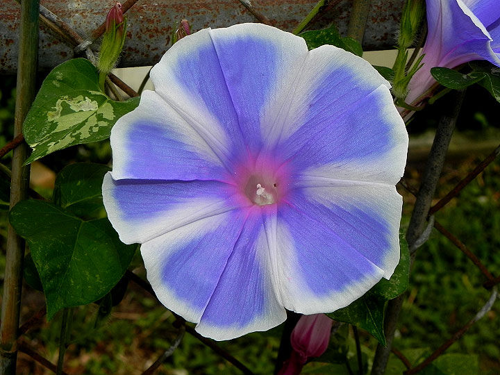 DSCN1364