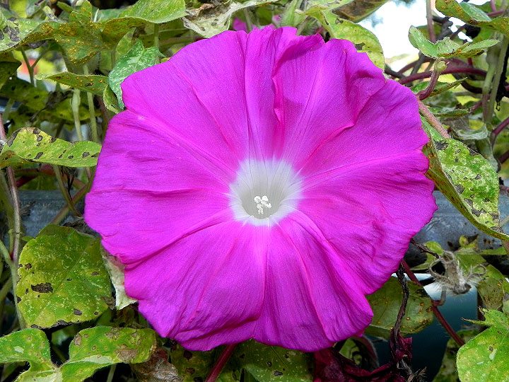 DSCN1373