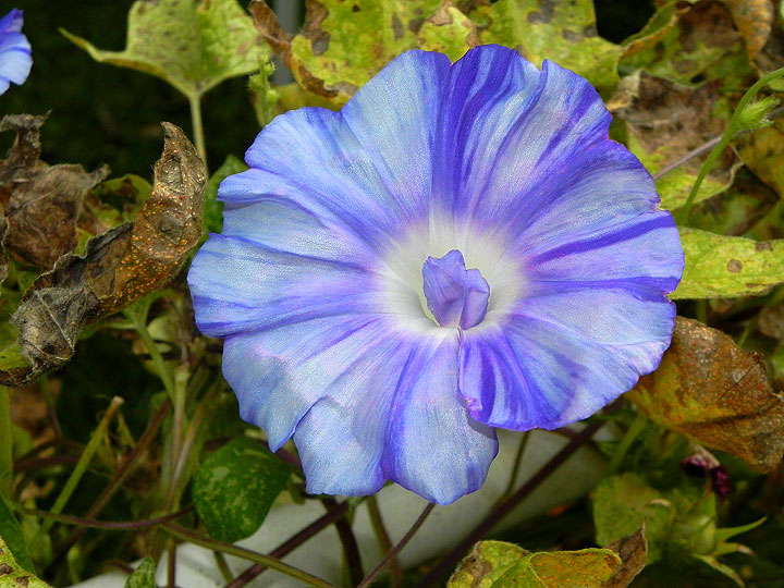 DSCN1495