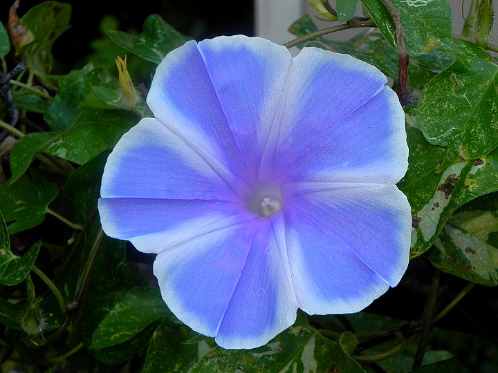 DSCN1525