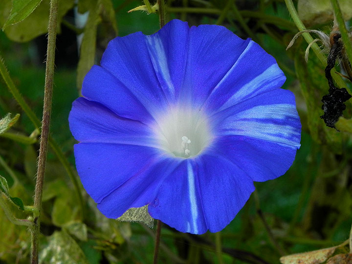 DSCN1535