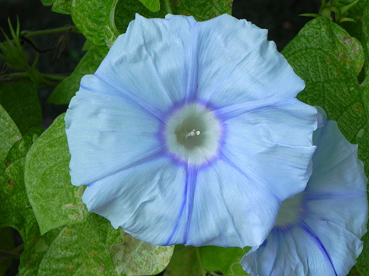 DSCN1687