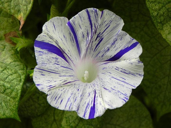 DSCN1946