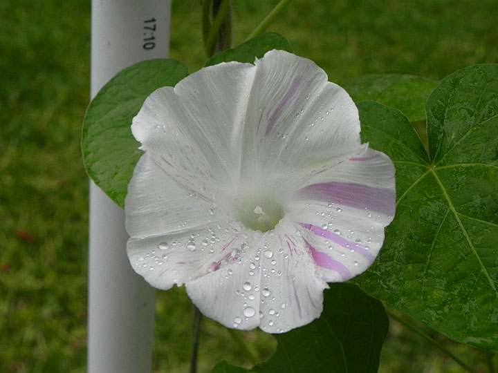 DSCN2414_01