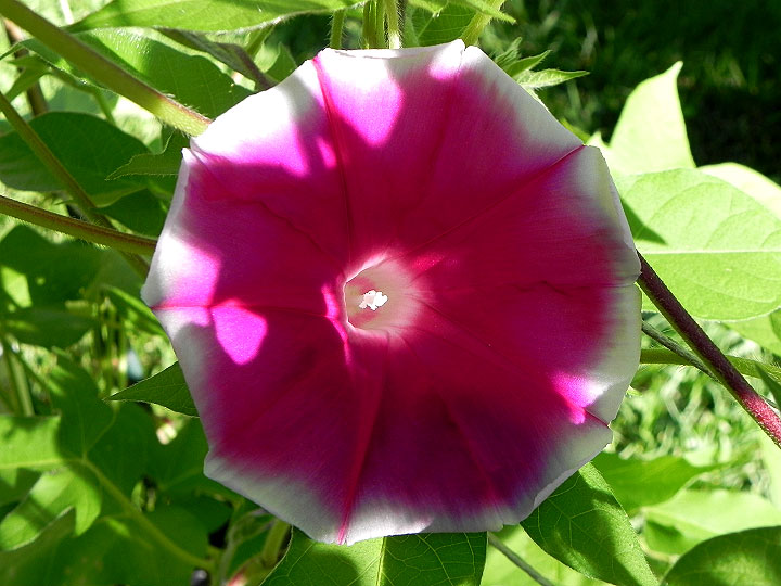 DSCN2469_02