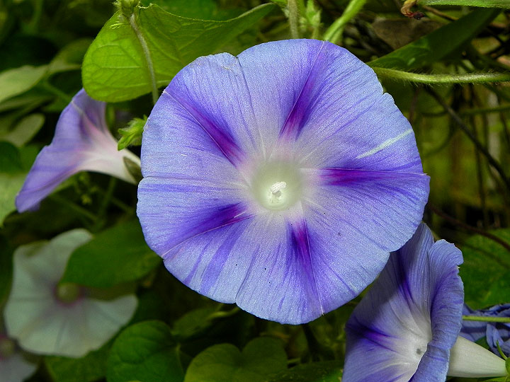DSCN2584