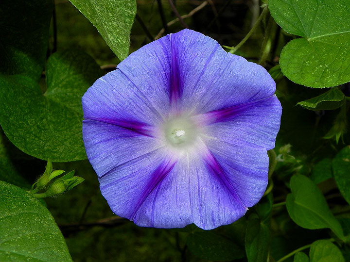 DSCN2585