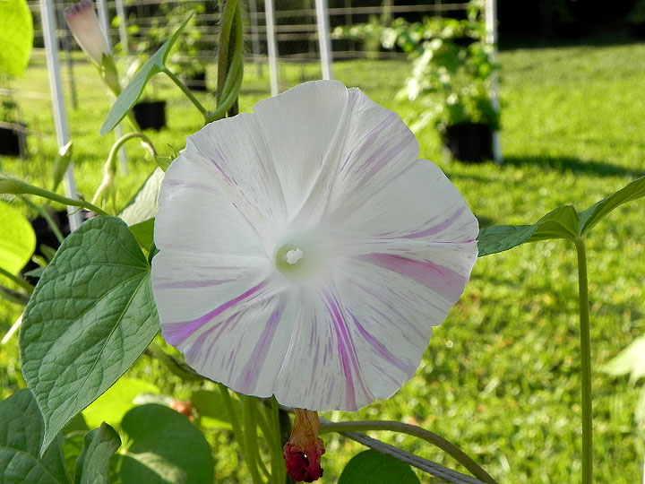 DSCN2624_01