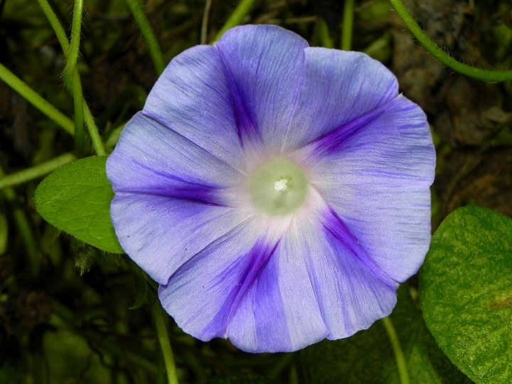 DSCN2629