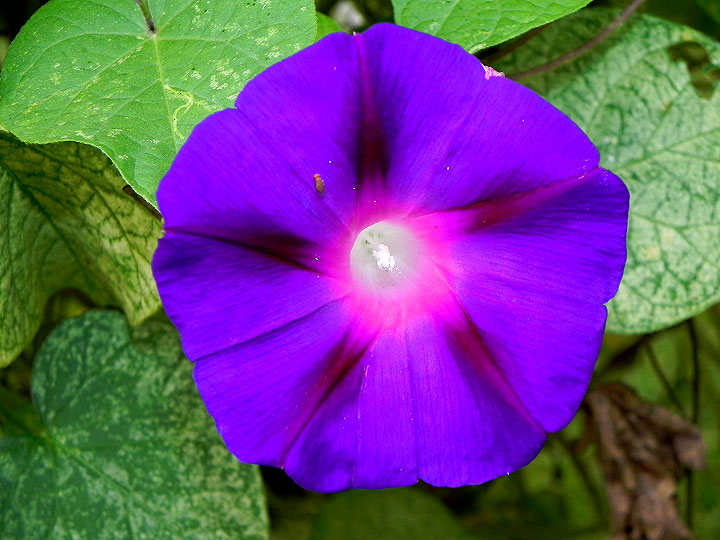 DSCN2673