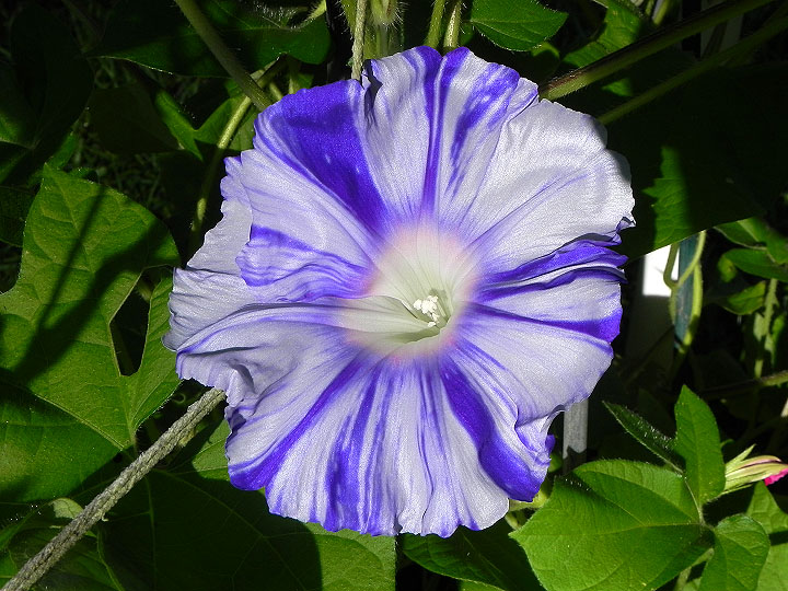 DSCN2689_01