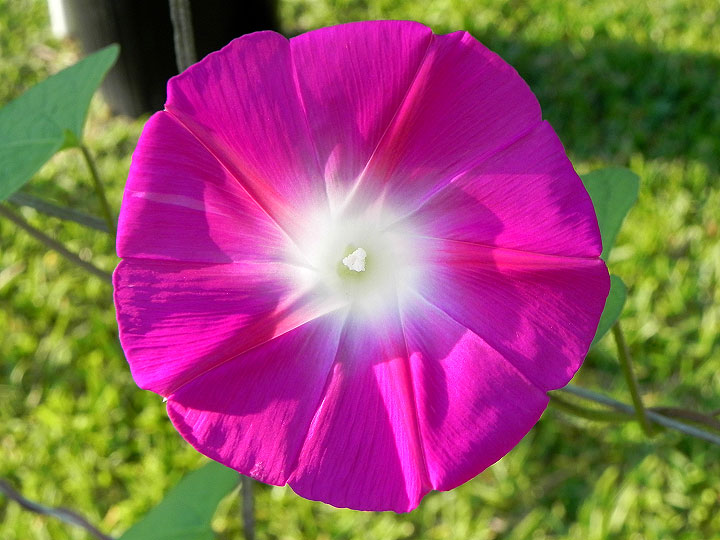 DSCN2796