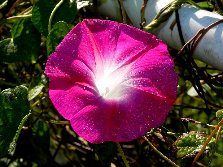 DSCN2801