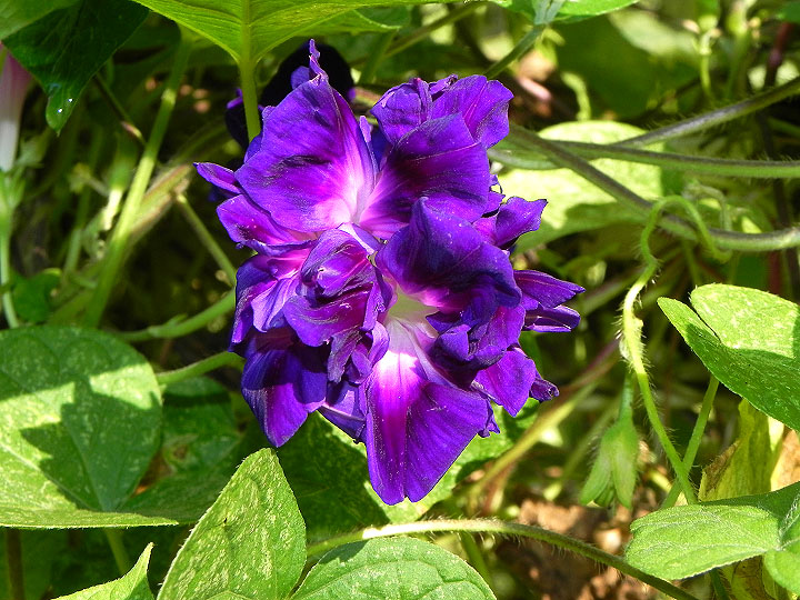 DSCN2943