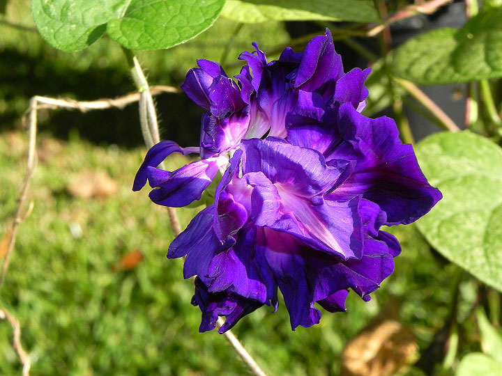 DSCN2945