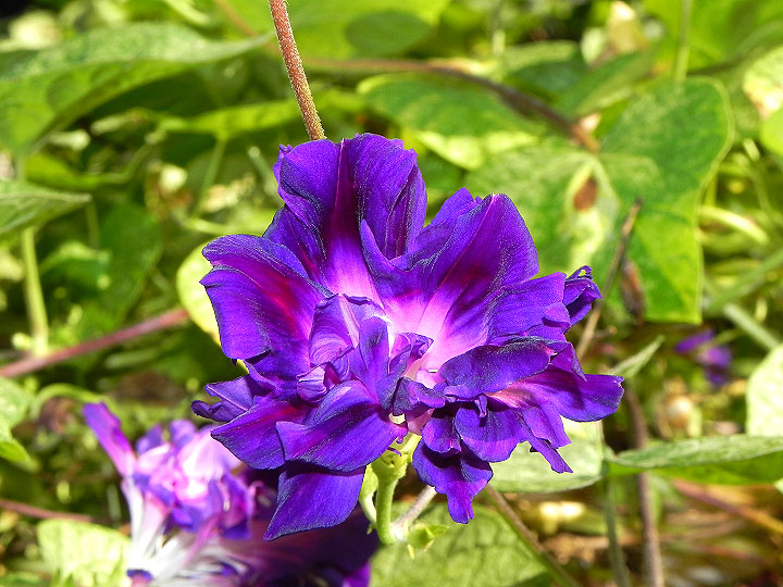 DSCN2947