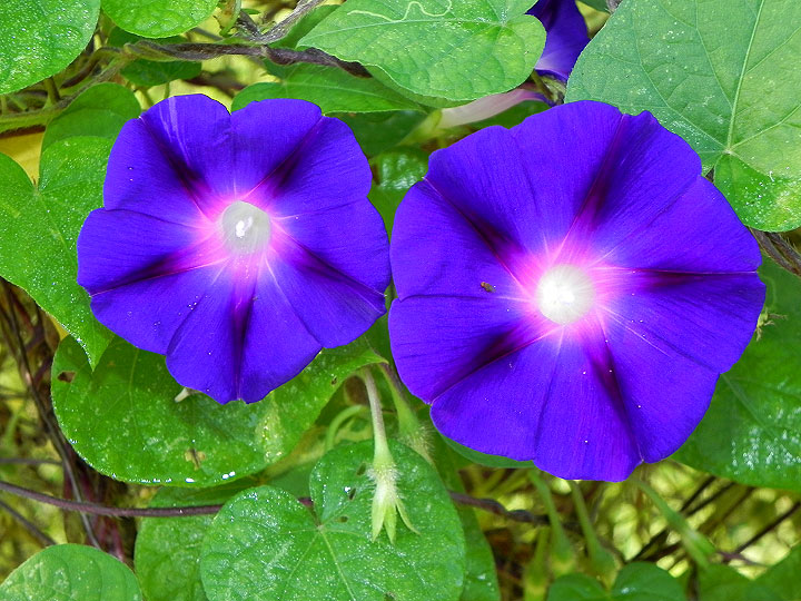 DSCN2948