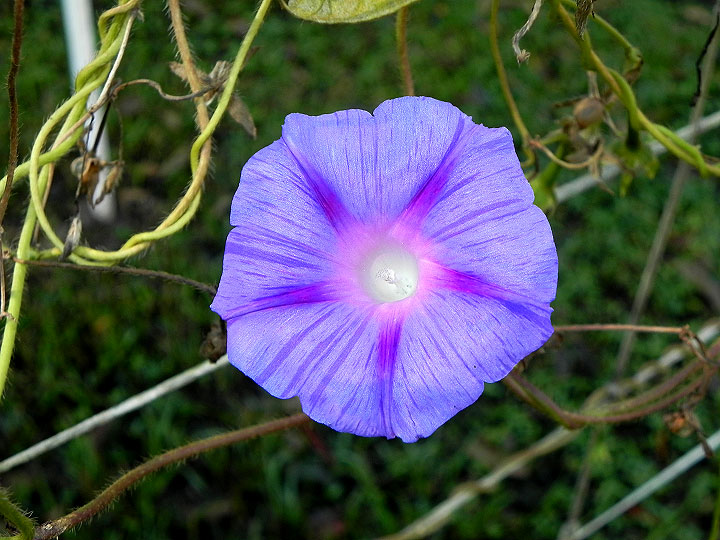 DSCN3019