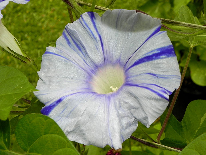 DSCN3022