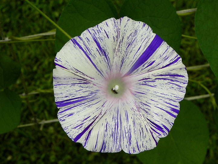 DSCN3028_01
