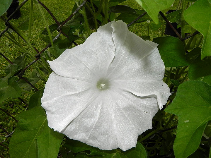 DSCN3066