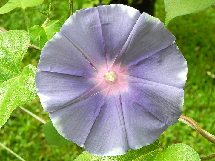 DSCN3194