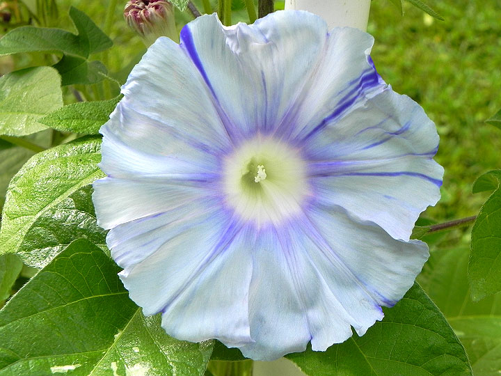 DSCN3203