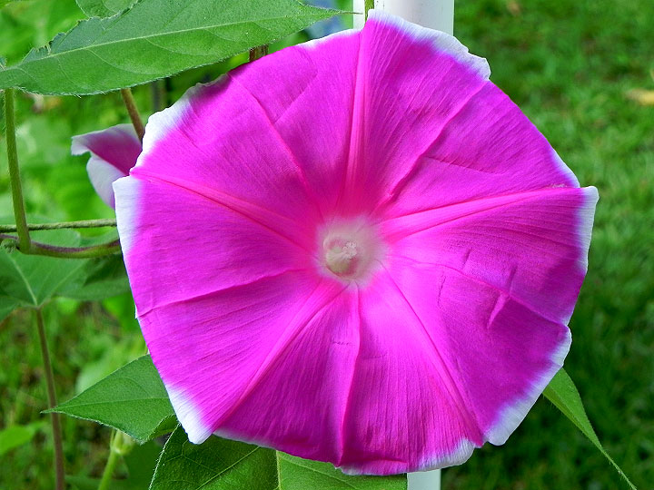 DSCN3211
