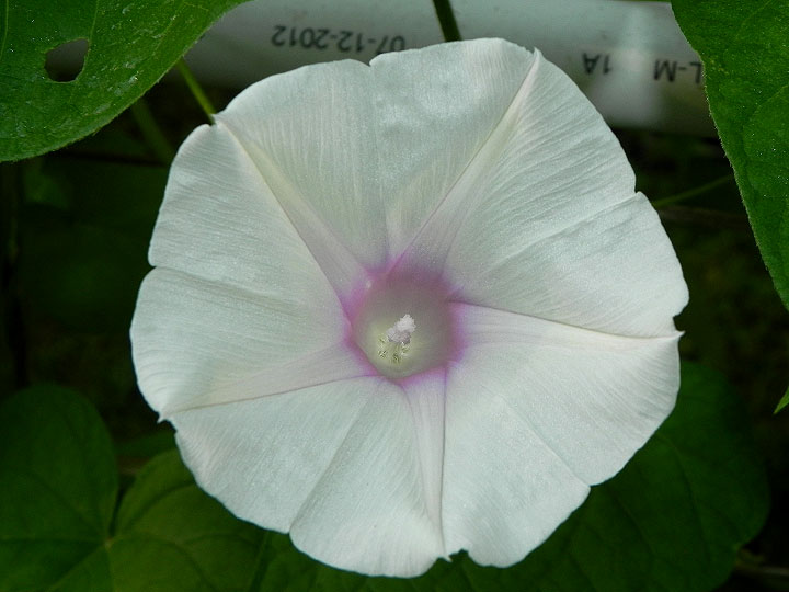 DSCN3286_01