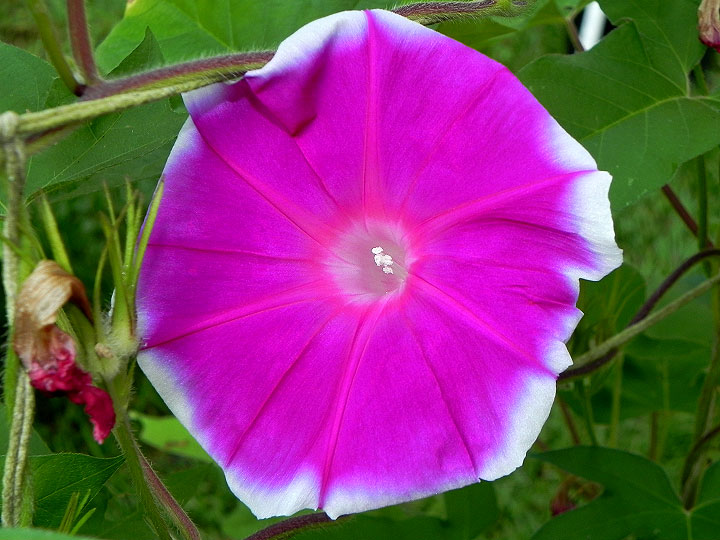 DSCN3293_01