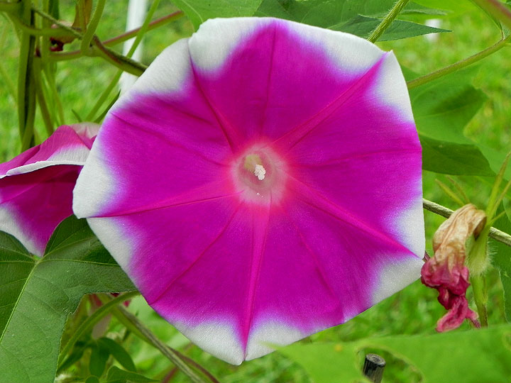 DSCN3295_01