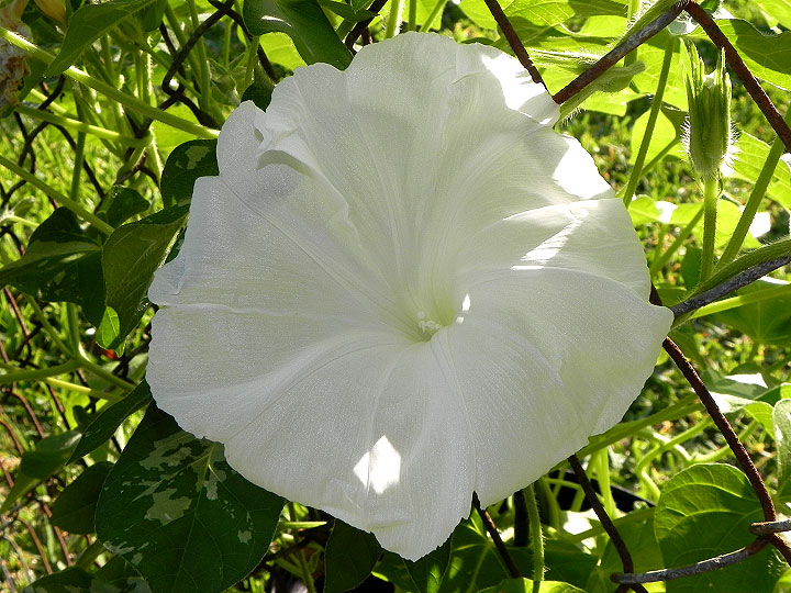 DSCN3316_01