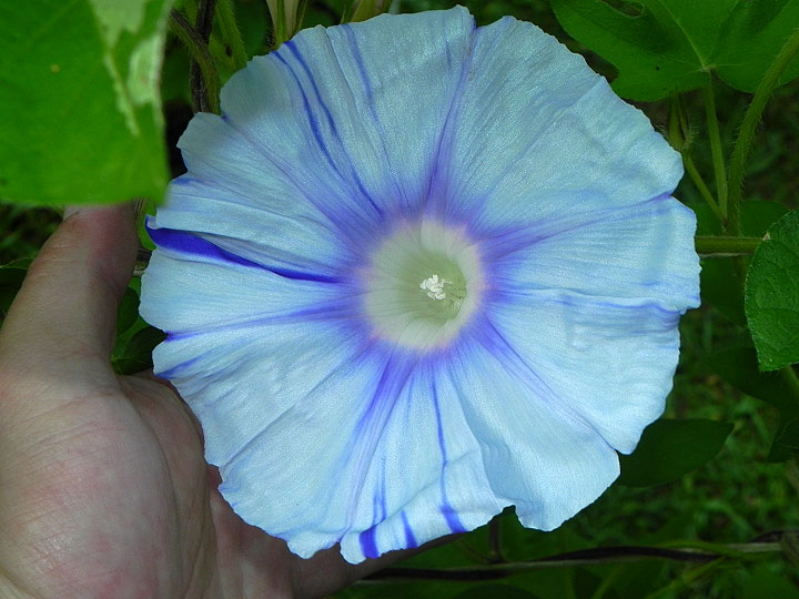 DSCN3369