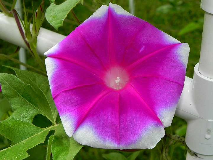 DSCN3373