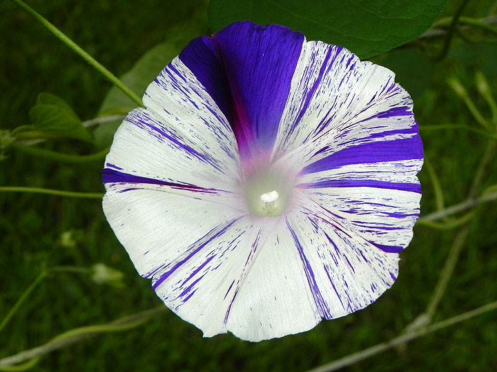 DSCN3374