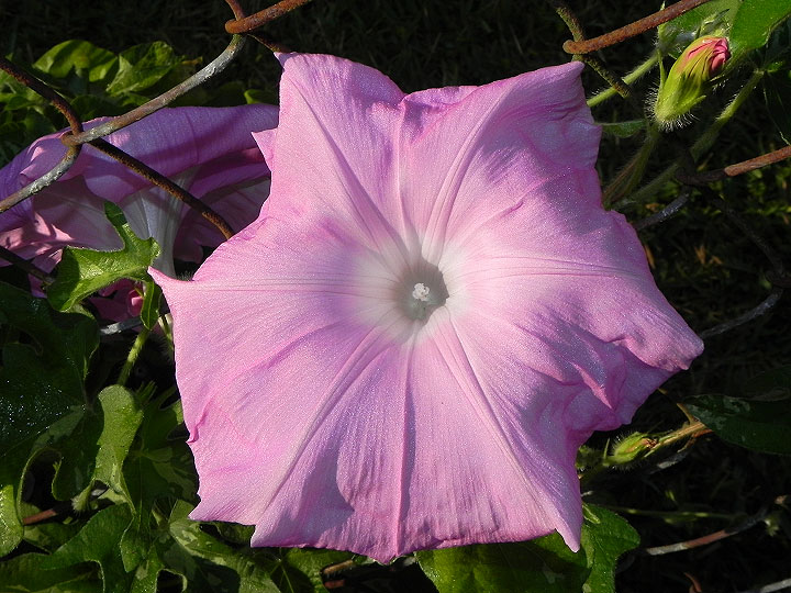 DSCN3397_01