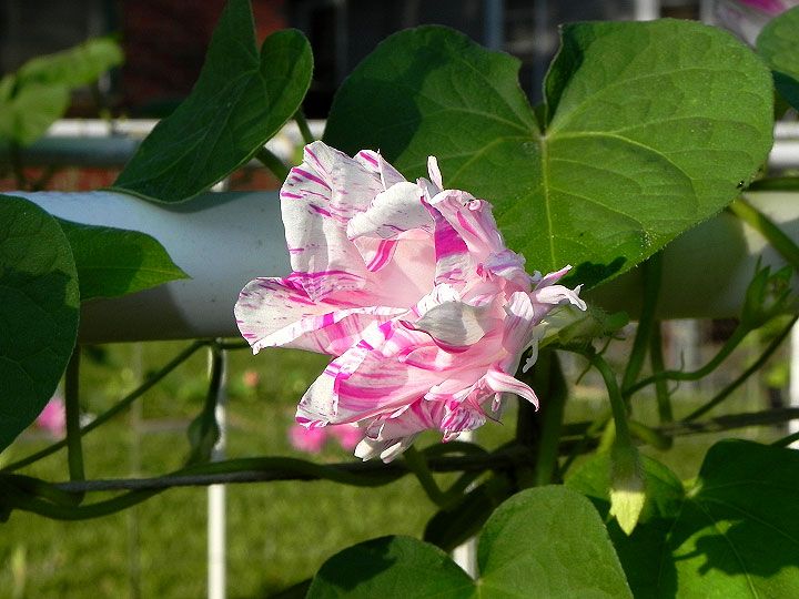 DSCN3404_01